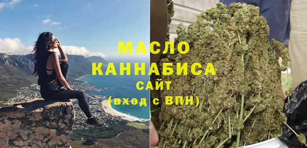 хмурый Аркадак