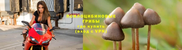 кокаин колумбия Алексин