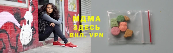 хмурый Аркадак