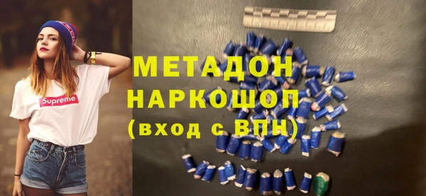 хмурый Аркадак