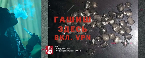 хмурый Аркадак