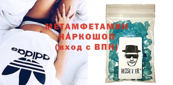 хмурый Аркадак